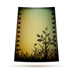 Negative film with landscare