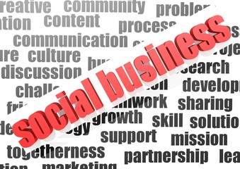 Business work of social business
