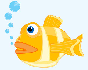 Tropical fish in ocean