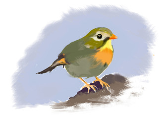 ILLUSTRAZIONE 1