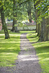 Empty path in park at summer, Sweden