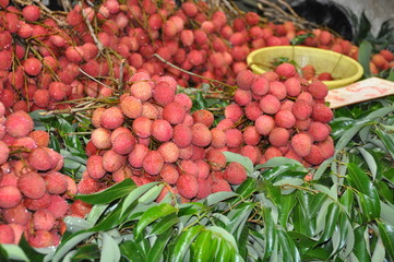 marché port louis , ile maurice