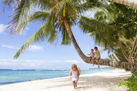 three children - boy and girls - sitting on palm tree on tropica