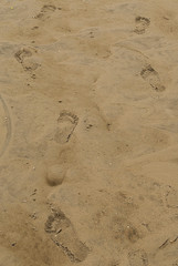 Fototapeta na wymiar Barfuß, Spuren, Sand