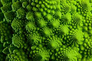 Romanesco broccoli cabbage marco