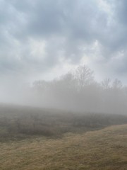 Fototapeta na wymiar misty field