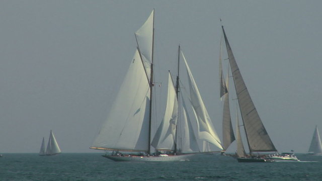 old sail regatta 08