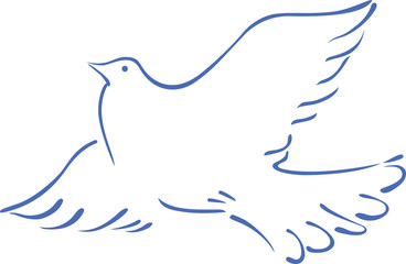 Sketch of a flying dove.