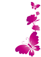 butterfly,butterflies vector