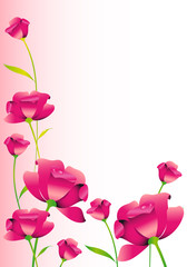 Obraz premium flower card