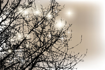 Silhouette Baum Winter Bokeh