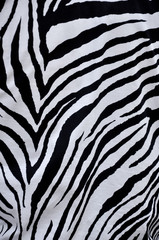 Fototapeta na wymiar Zebra fabric