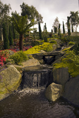 Fototapeta premium Garden with waterfall 2