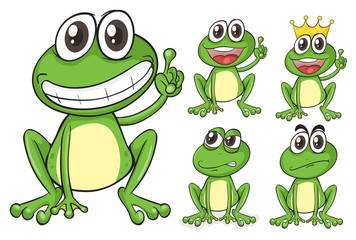 Naklejka premium Green frogs