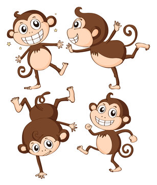 Four monkeys