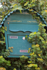 Mailbox with wilderness