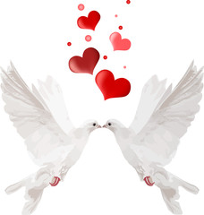 Fototapeta premium couple white doves and red hearts