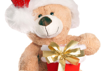Teddy Bear with Santa Hat