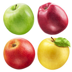 Apple collection. fruits isolated on white