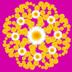 dandelion flower pattern