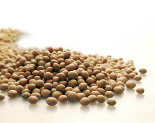 Soybean seeds scattered on a white table