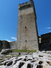Naklejka premium Abbazia di Montmajour, Provenza, Francia
