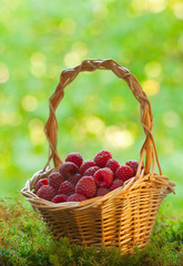 Ripe raspberries in the basket