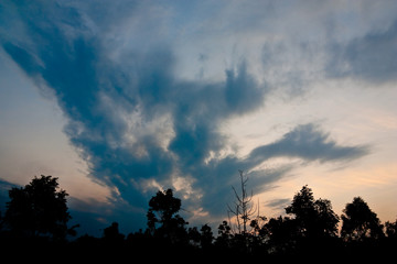 Silhouette view of rural plant with twilight sky in Thailand