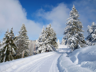 Fototapeta na wymiar Snowy drogowego