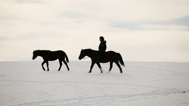 horseman rides a horse. winter field.