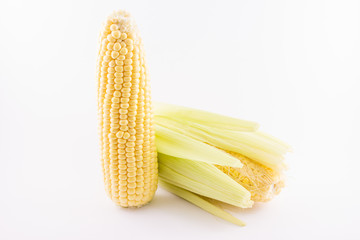 Corn