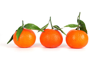 Drei Mandarinen mit Blättern