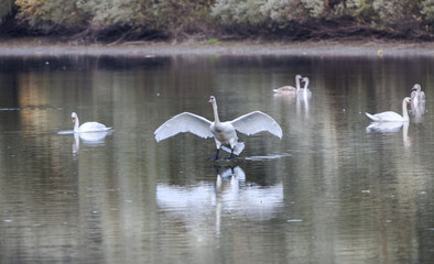 Landing....