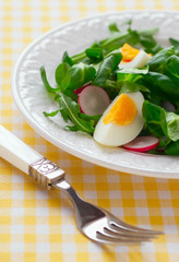 Salad with boiled egg, radish, arugula and corn