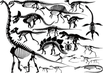 Dinosaur Skeleton silhouette collection