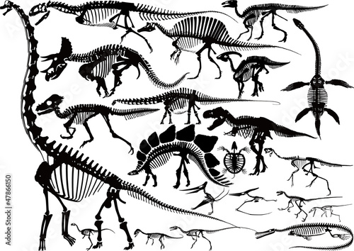 Download "Dinosaur Skeleton silhouette collection" Stock image and royalty-free vector files on Fotolia ...