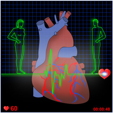Herz EKG Mann und Frau