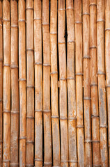 old dry bamboo background