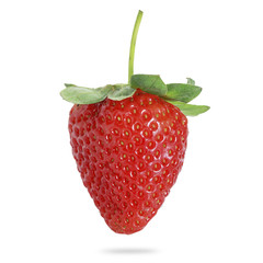 Beautiful strawberries