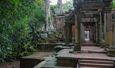 Fototapeta na wymiar Ta Prohm, Angkor Wat