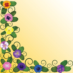 background with pansies