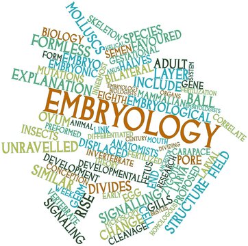 Word cloud for Embryology
