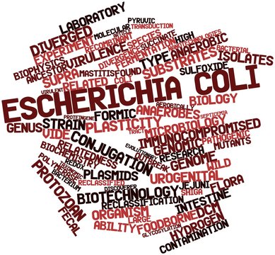 Word cloud for Escherichia coli