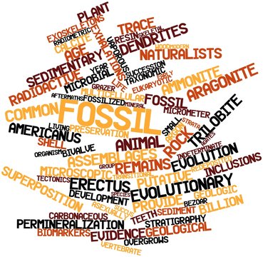 Word cloud for Fossil