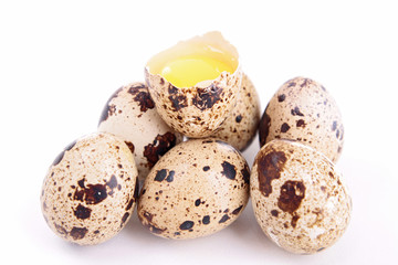 quail egg