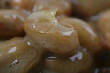natto