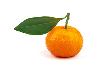 Tangerine with segment