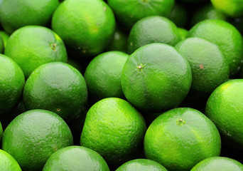 lime citrus fruit
