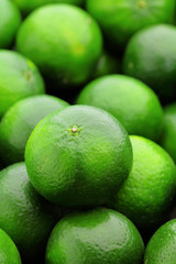 lime citrus fruit