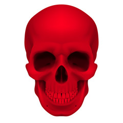 Obraz premium Red skull
